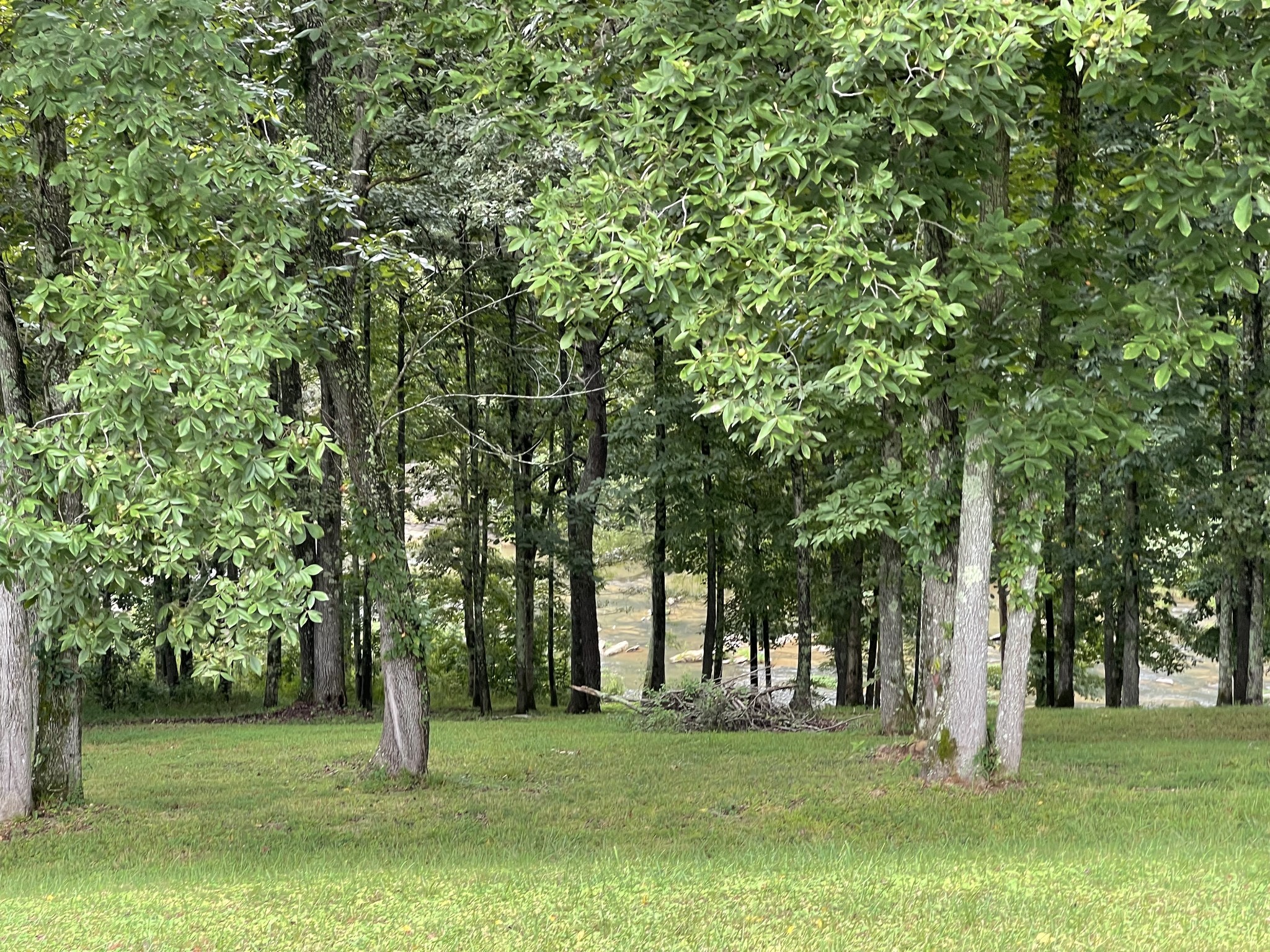 0 Cove Ln Property Photo 7