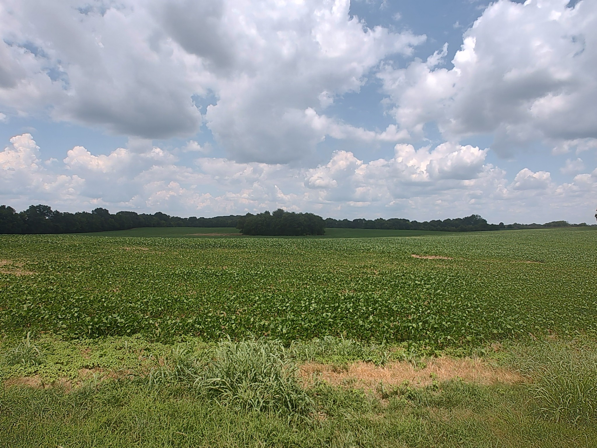 1 Benton Property Photo 1