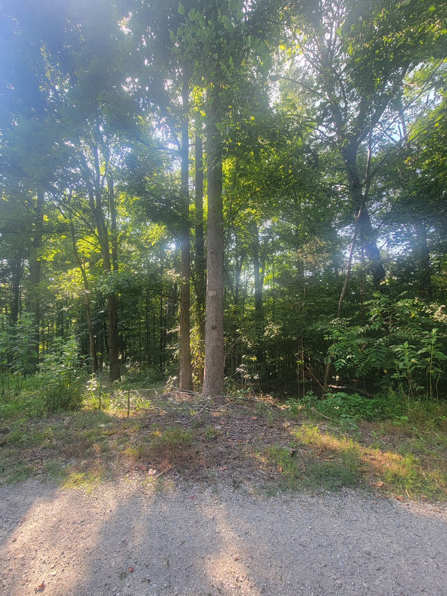 5395 Eastport Dock Rd Property Photo 1