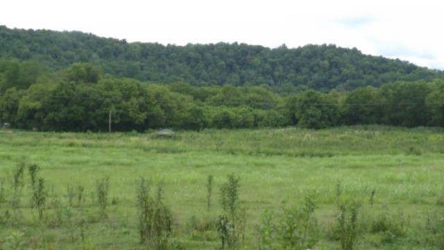 146 Copeland Ln Property Photo 1
