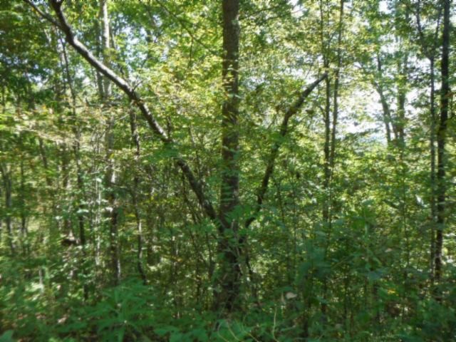 146 Copeland Ln