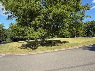 1605 Oak Mountain Dr Property Photo 2