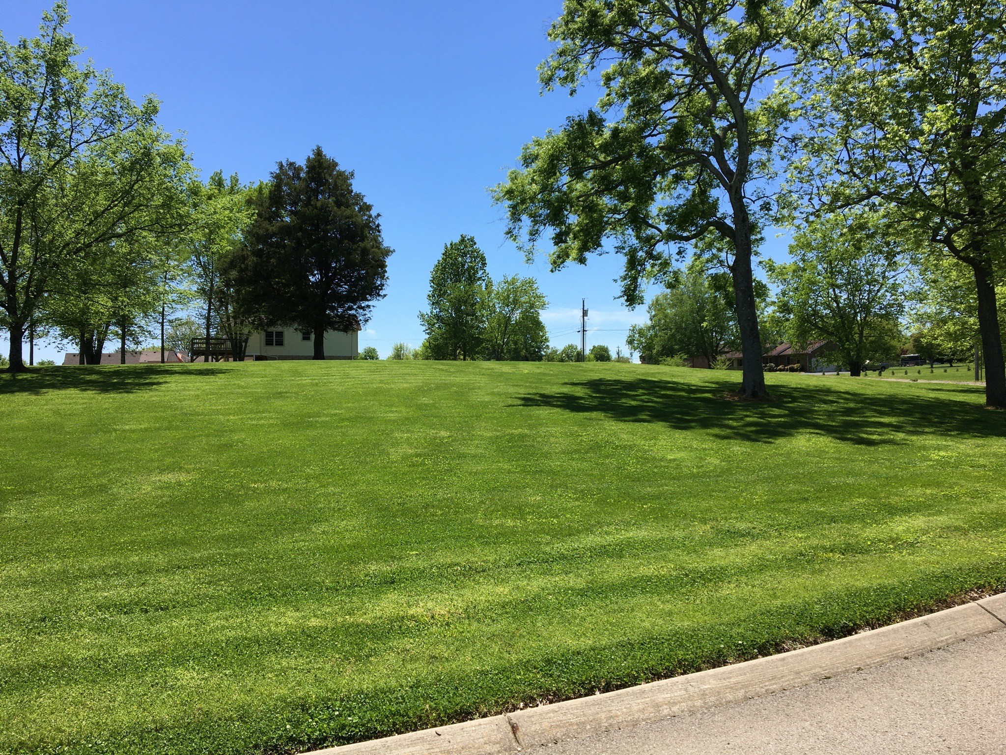 1605 Oak Mountain Dr Property Photo 3