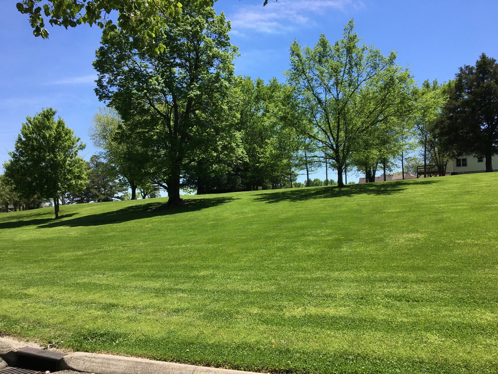 1605 Oak Mountain Dr Property Photo 4