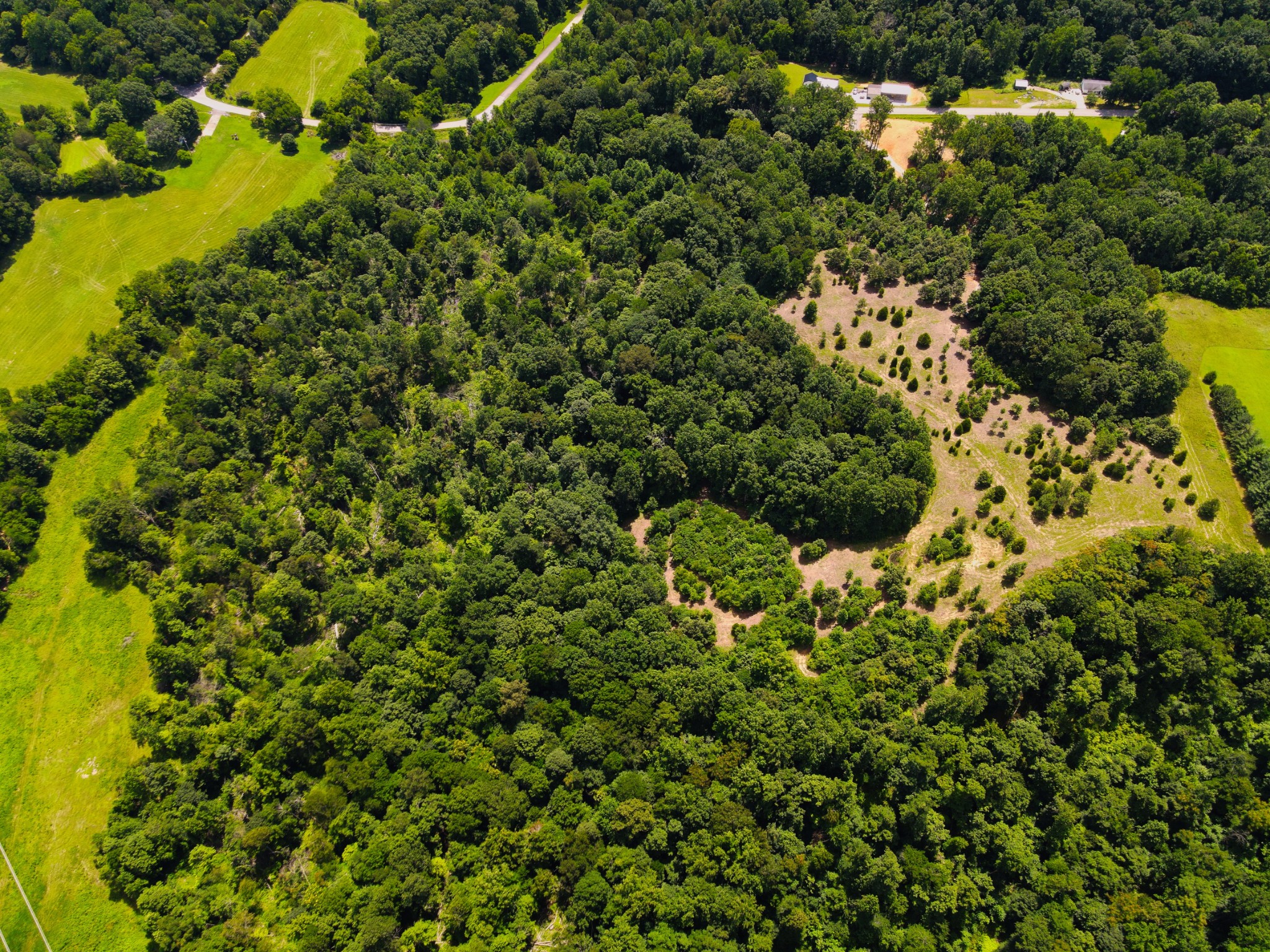 4200 Shiloh Canaan Rd Property Photo 3