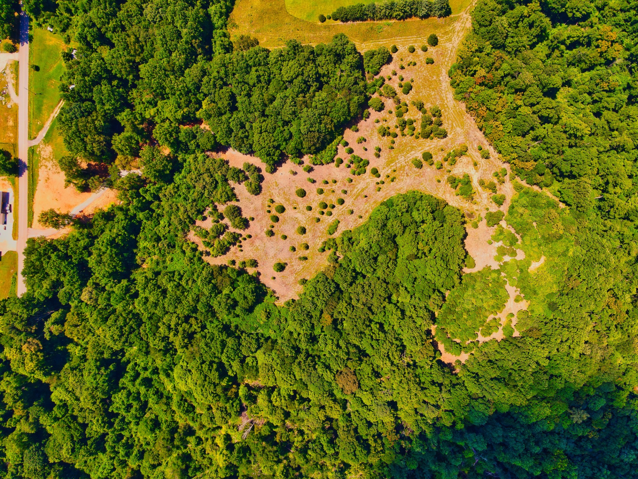 4200 Shiloh Canaan Rd Property Photo 4