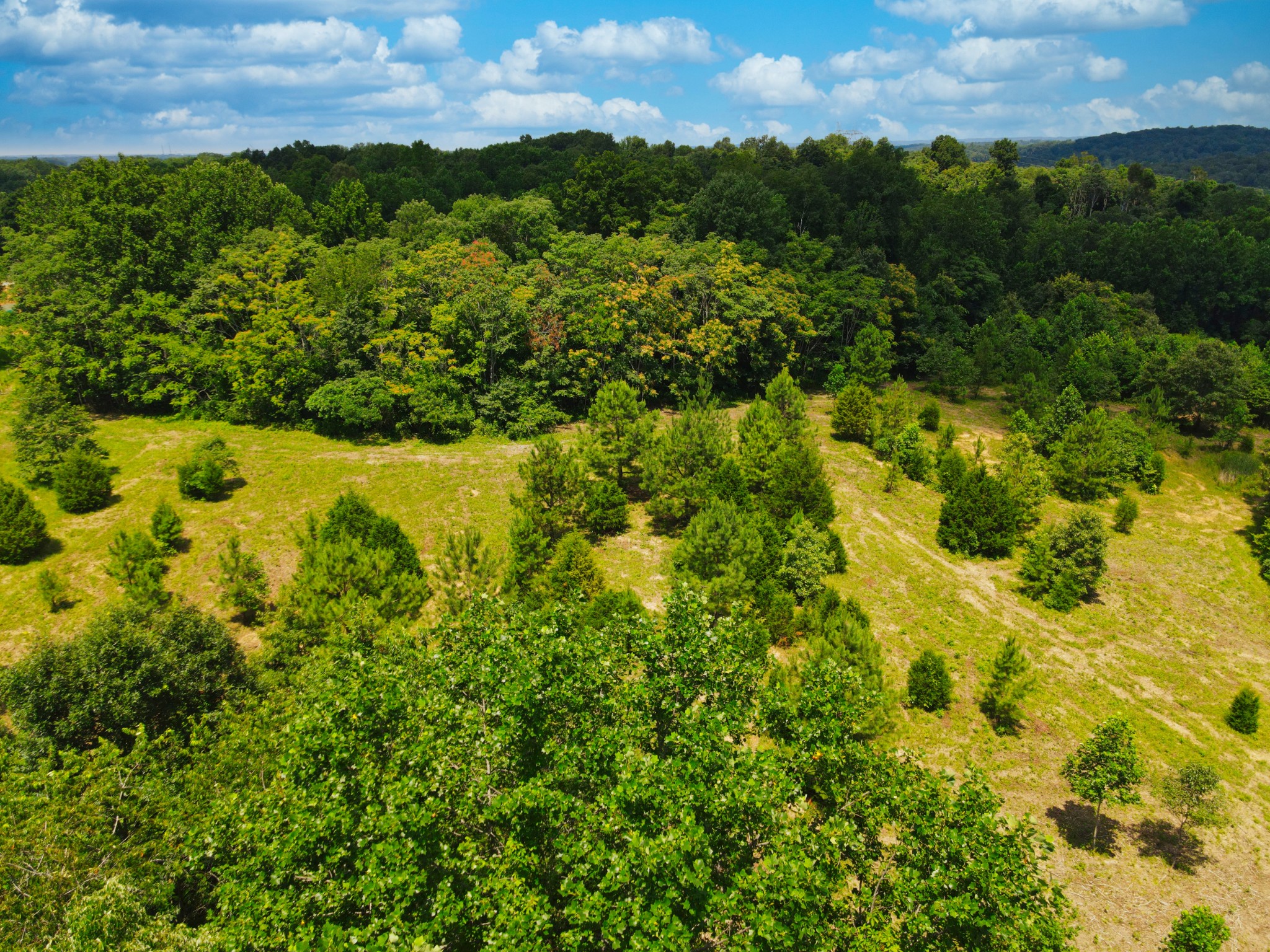 4200 Shiloh Canaan Rd Property Photo 5