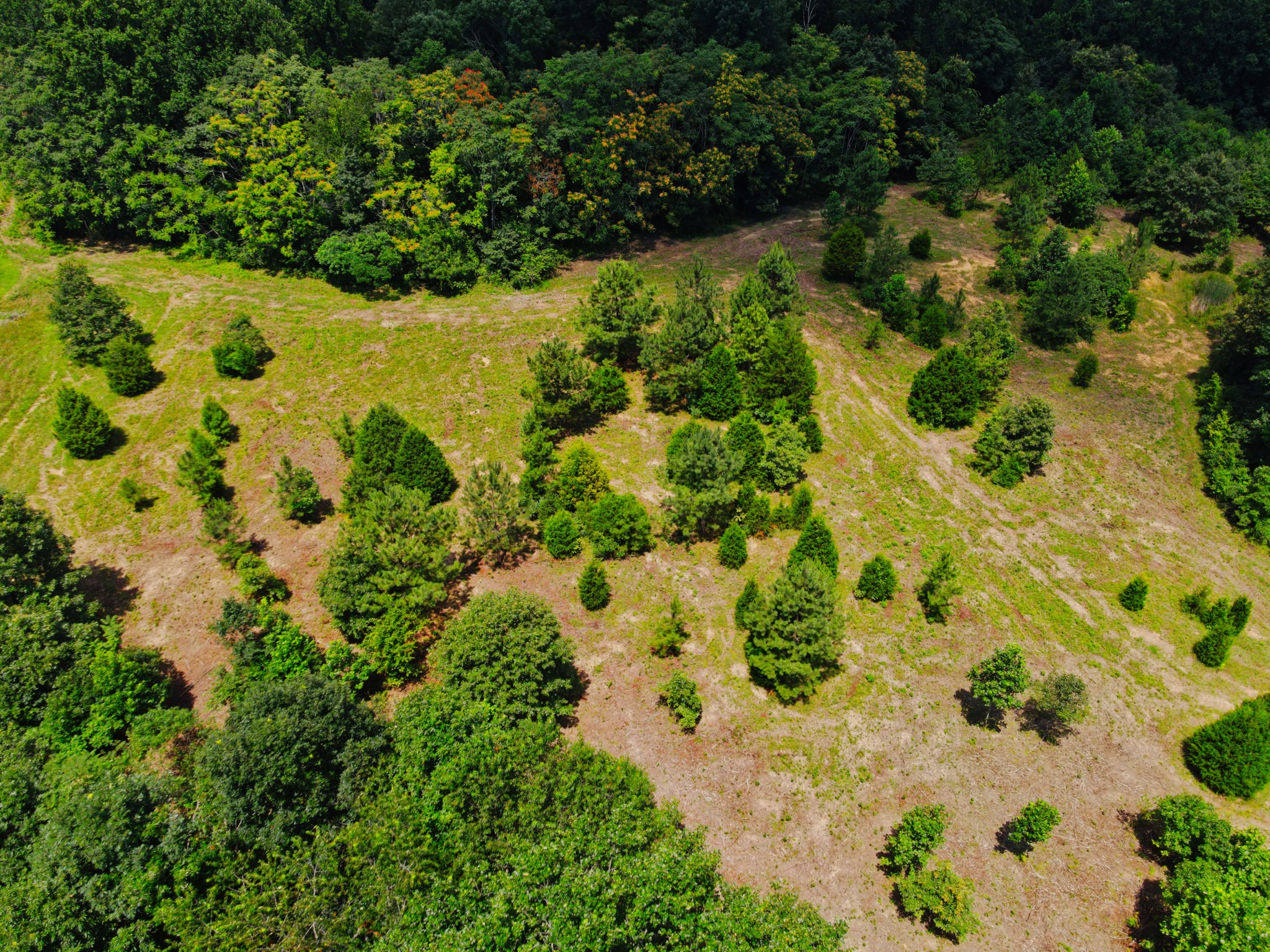 4200 Shiloh Canaan Rd Property Photo 6