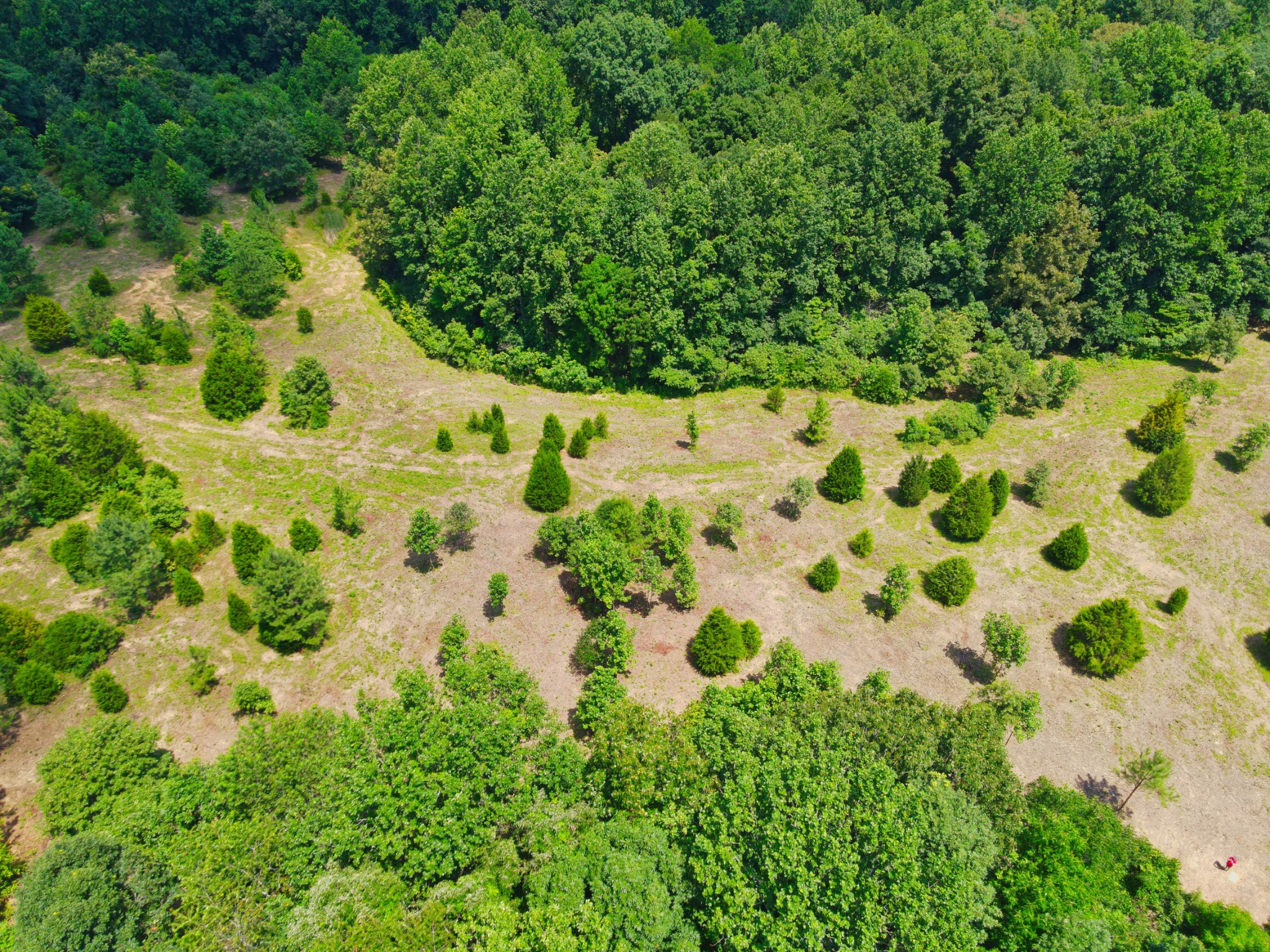 4200 Shiloh Canaan Rd Property Photo 7