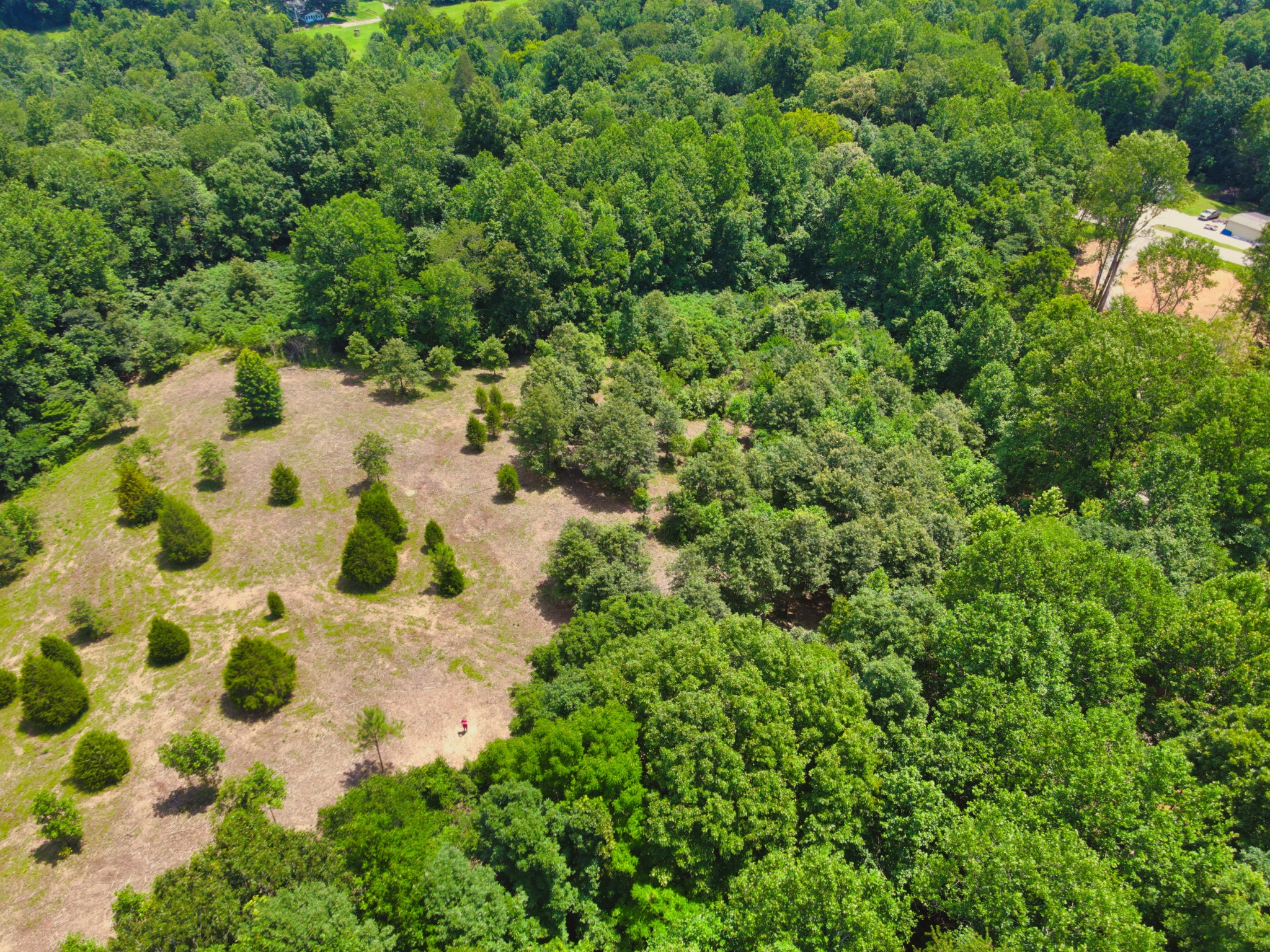 4200 Shiloh Canaan Rd Property Photo 8