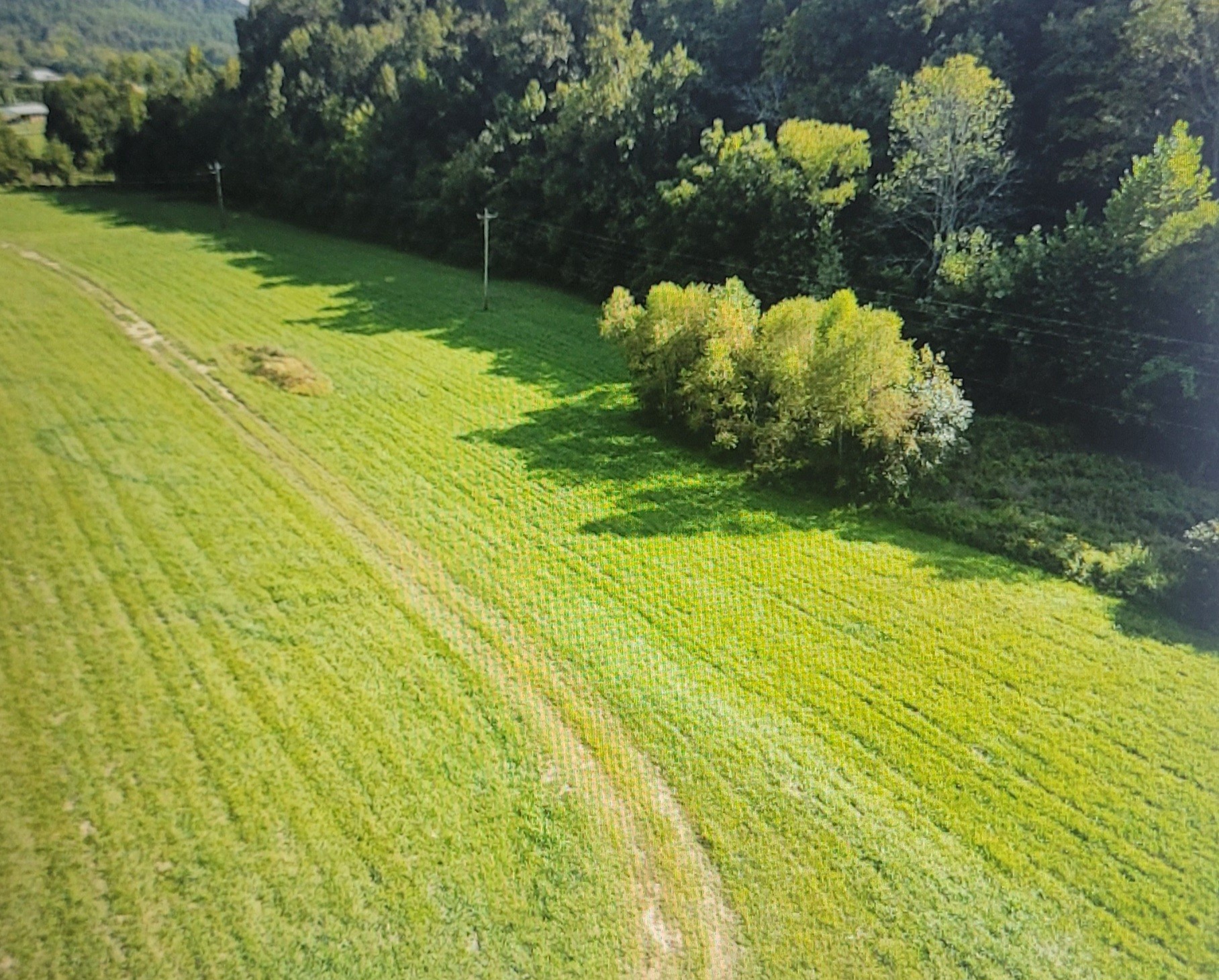 5641 New Highway 7 Property Photo 1