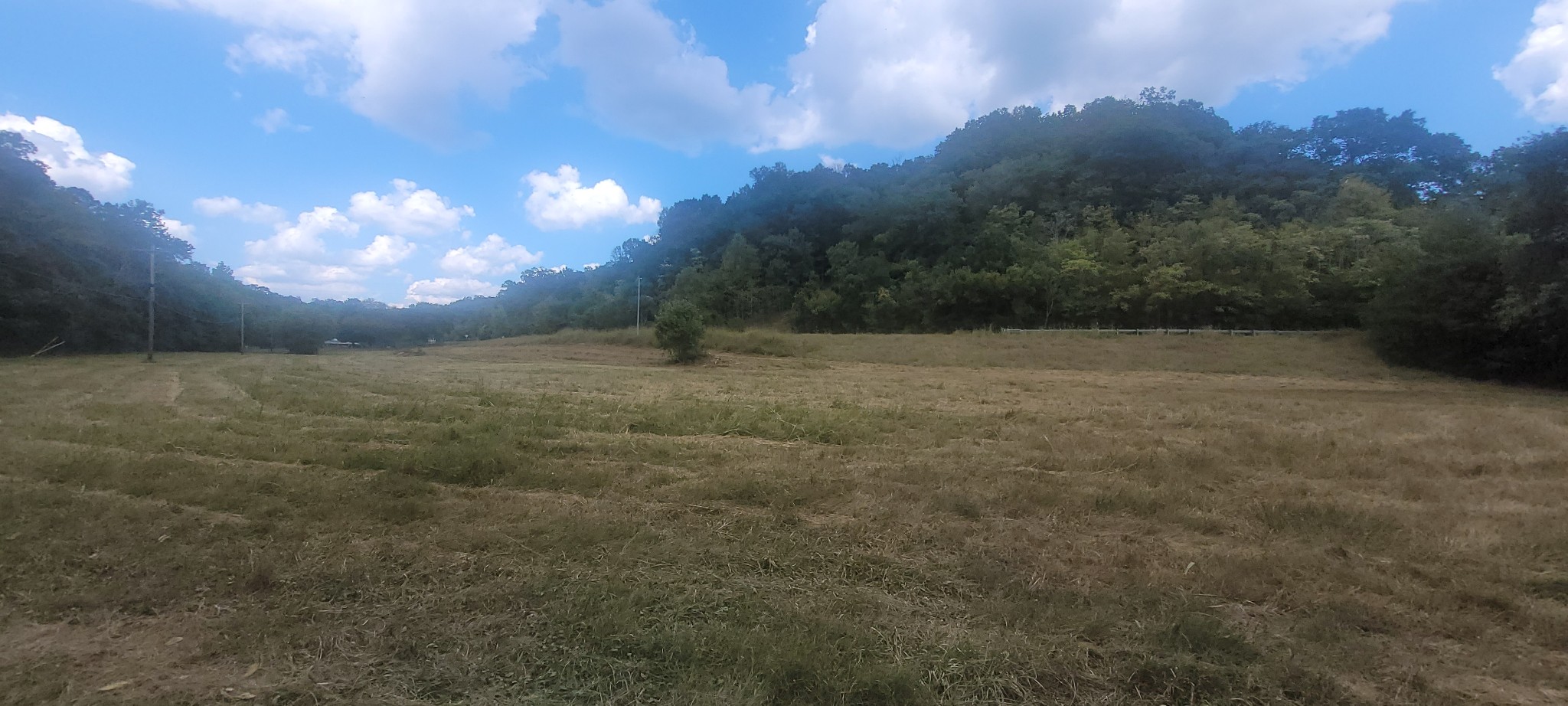 5641 New Highway 7 Property Photo 7
