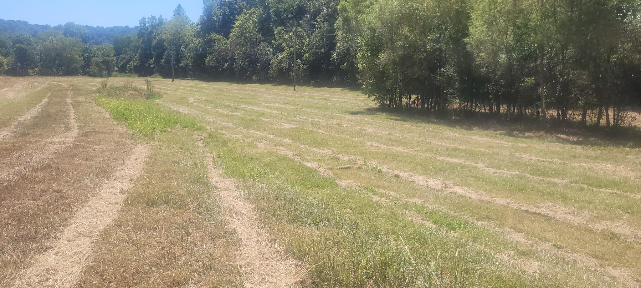 5641 New Highway 7 Property Photo 11
