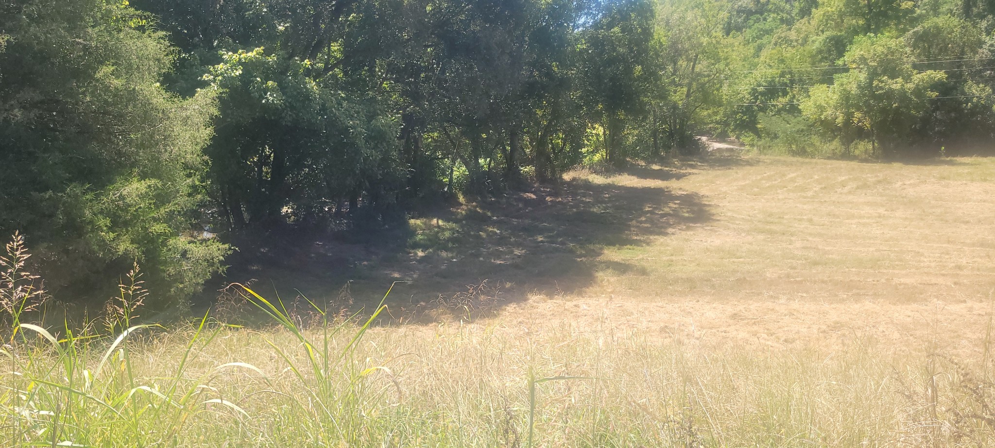 5641 New Highway 7 Property Photo 12