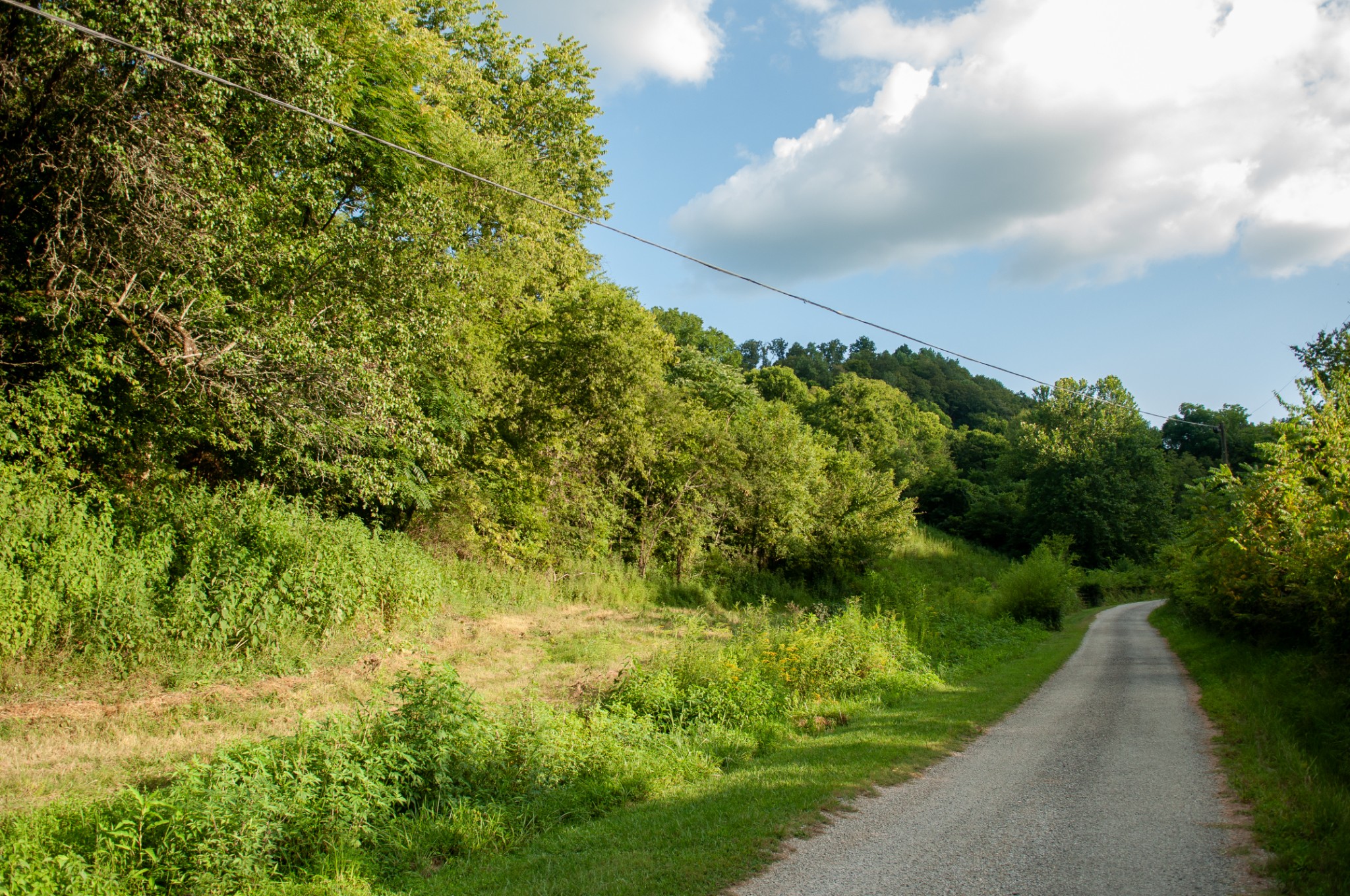 0 Nabors Hollow Ln