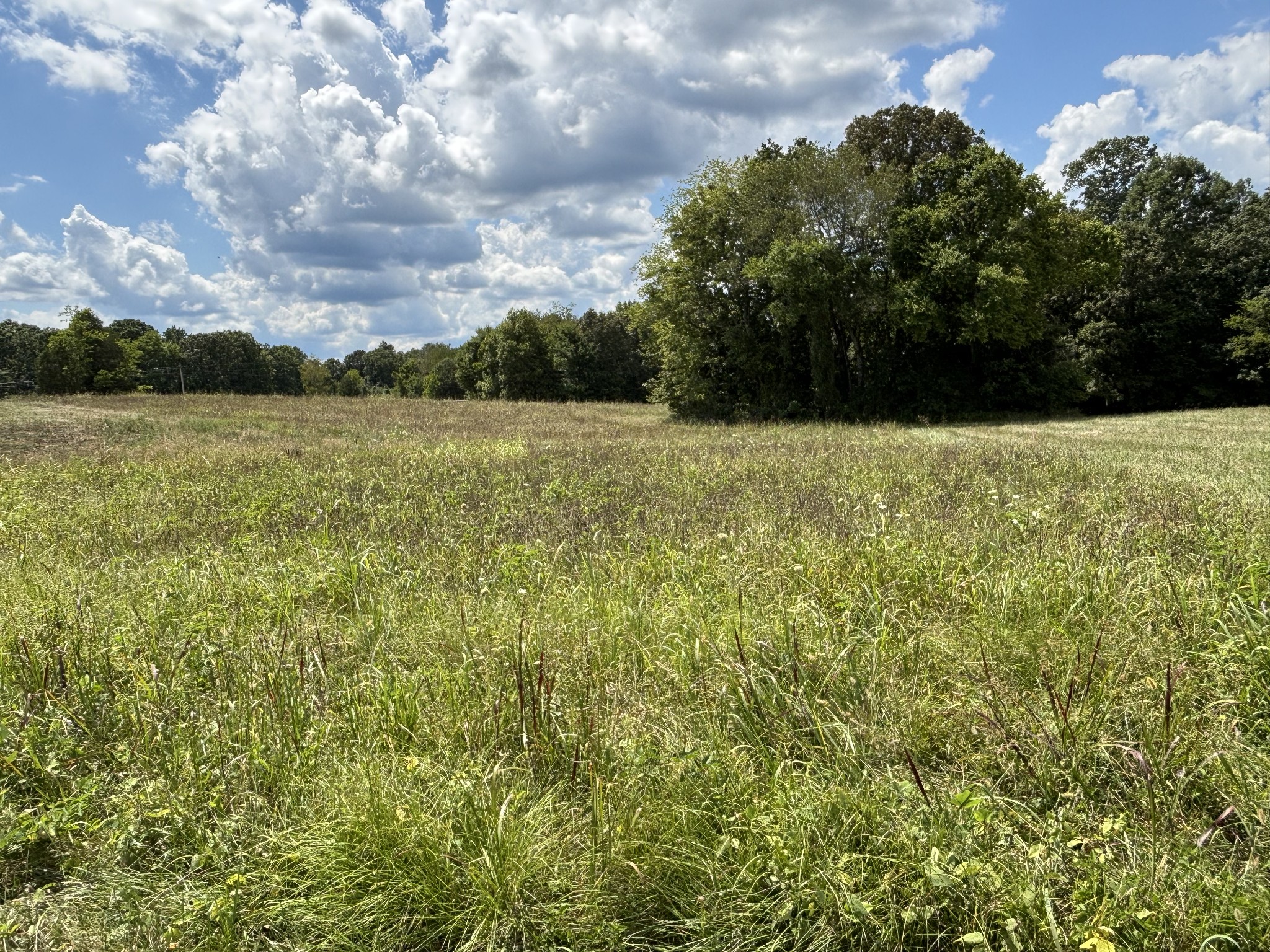 0 Middle Lick Creek Rd Lot 36 Property Photo 1