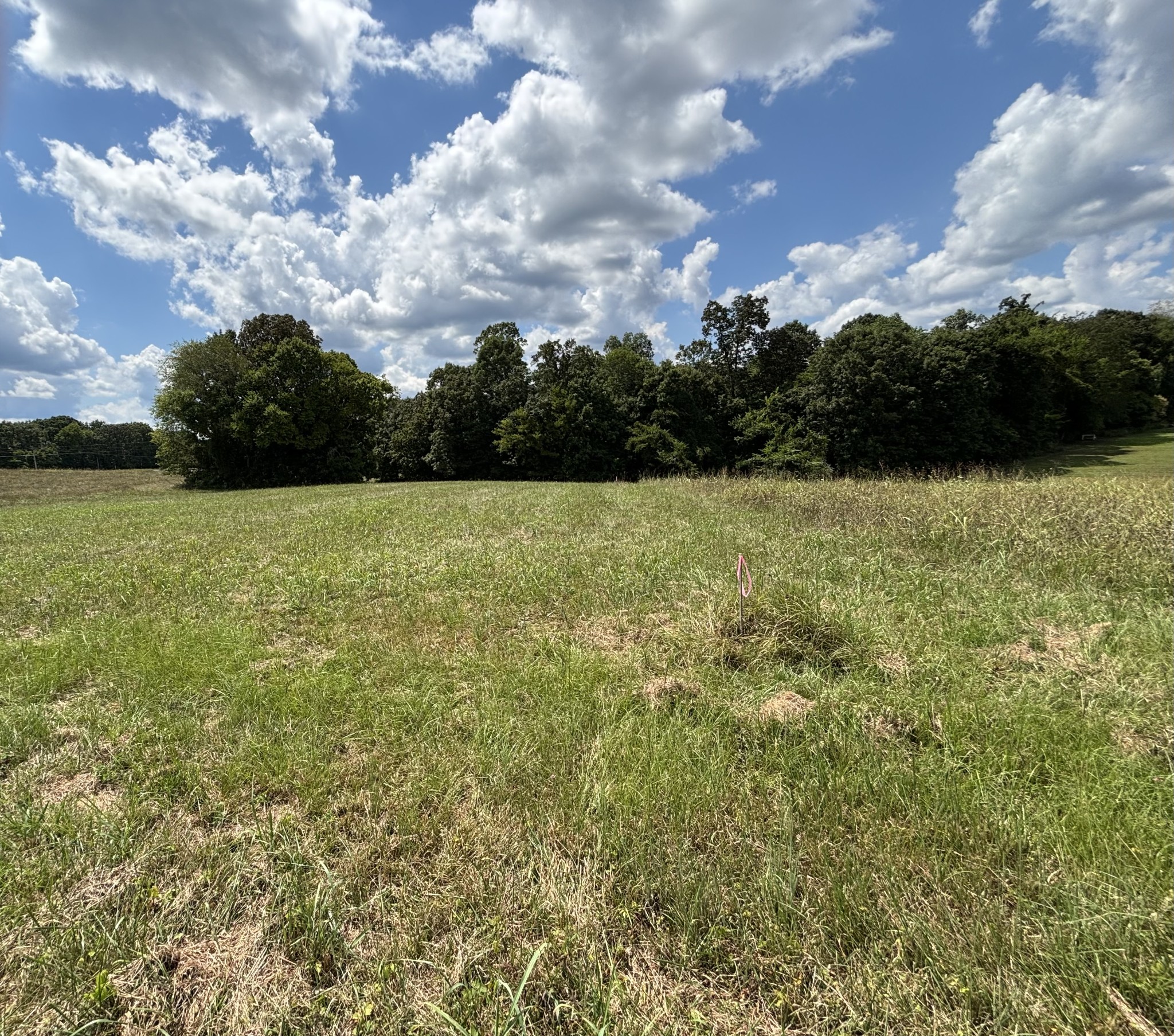 0 Middle Lick Creek Rd Property Photo 1