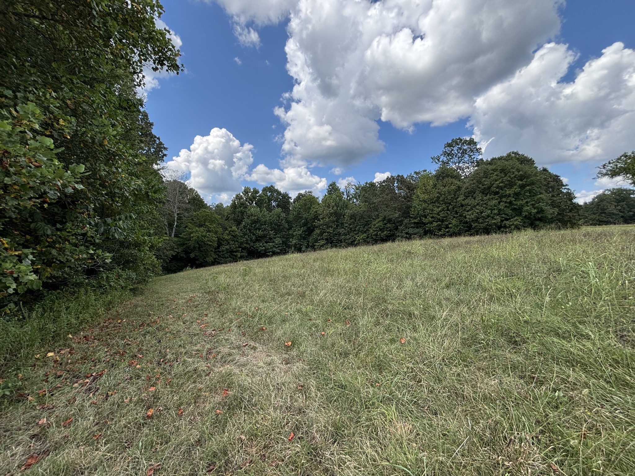 0 Highway 7 Lot 27 Property Photo 1