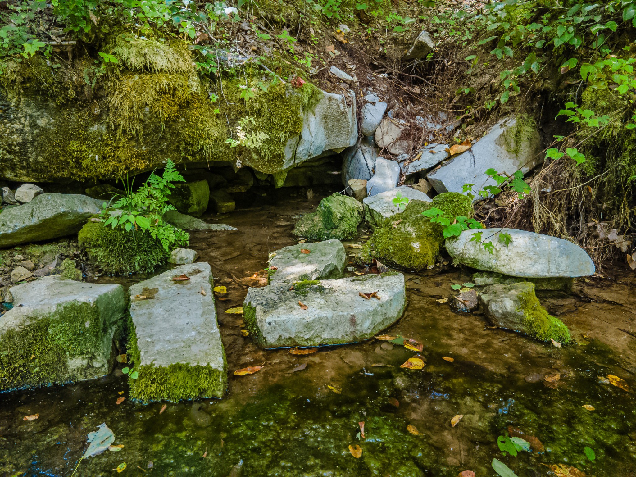 2970 Spring Place Rd Property Photo 17