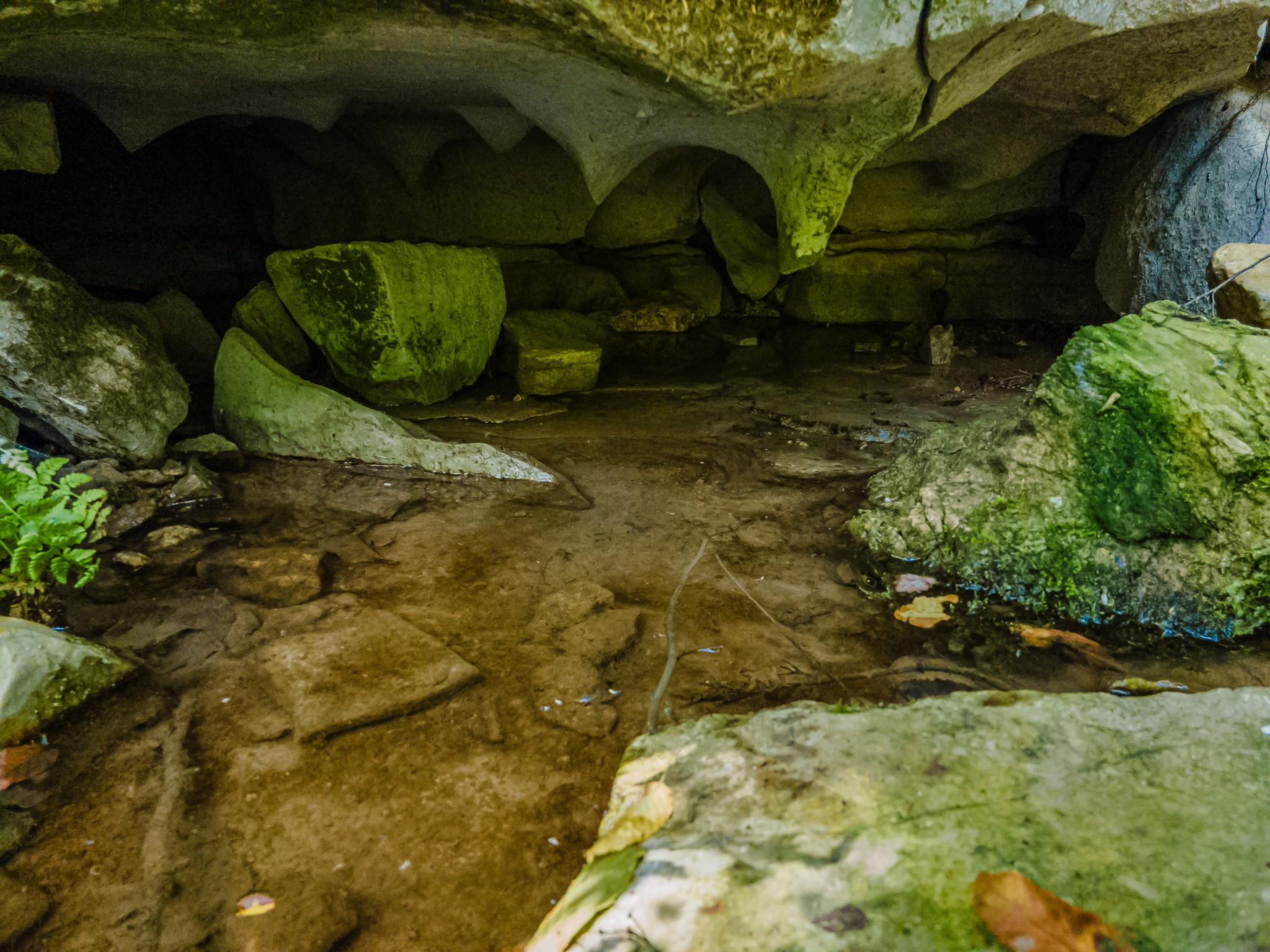 2970 Spring Place Rd Property Photo 18