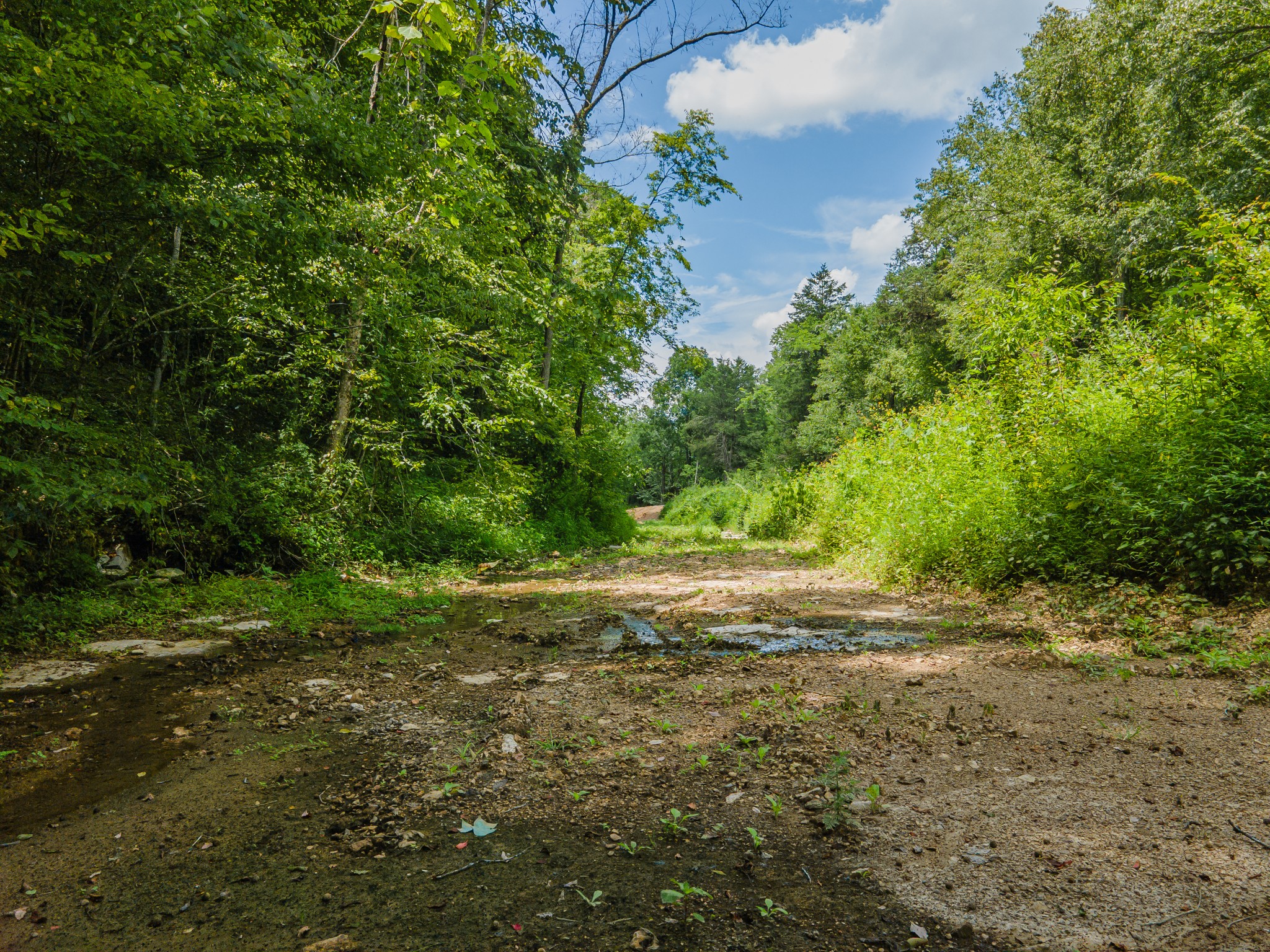 2970 Spring Place Rd Property Photo 19