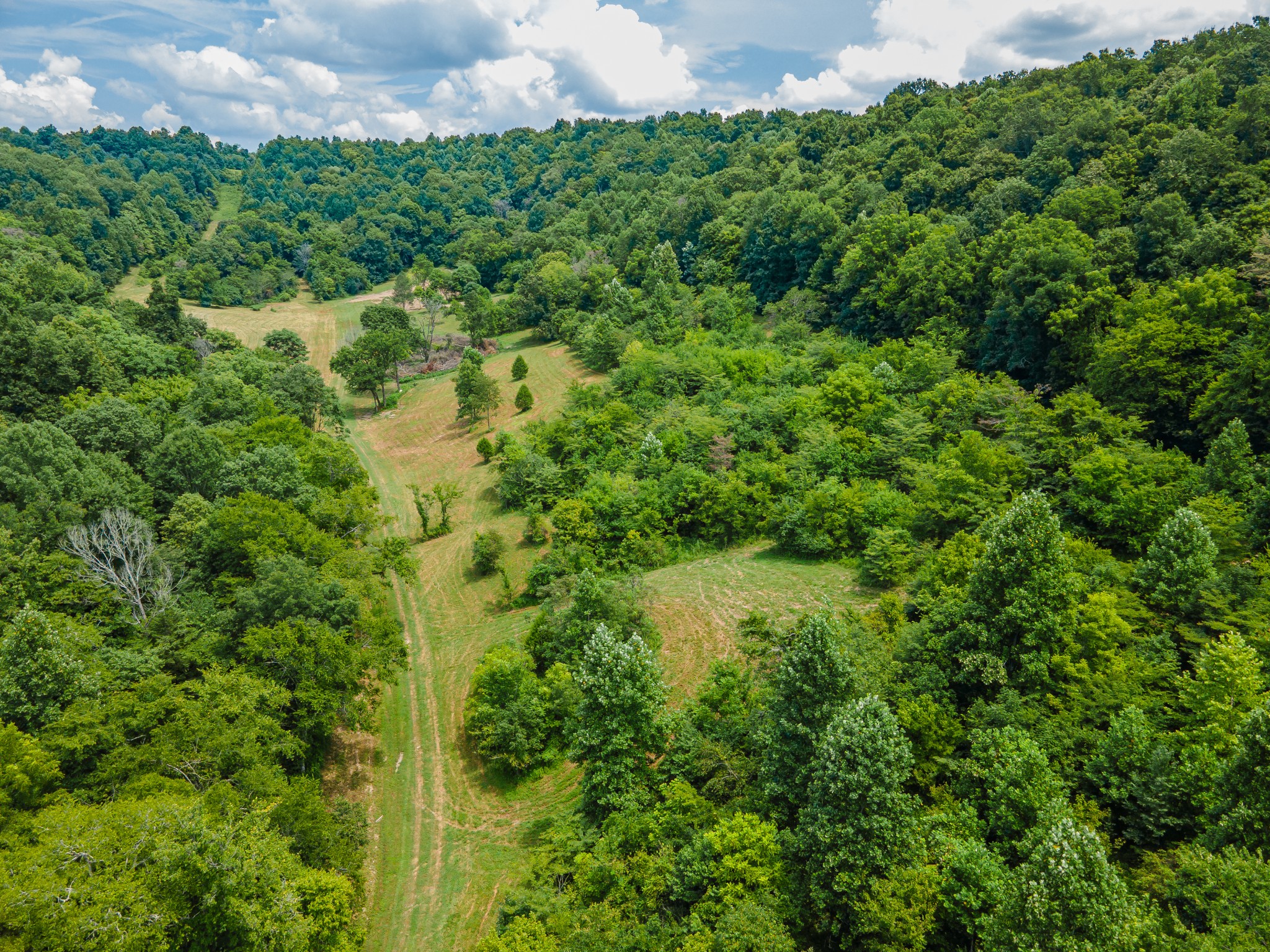 2970 Spring Place Rd Property Photo 21