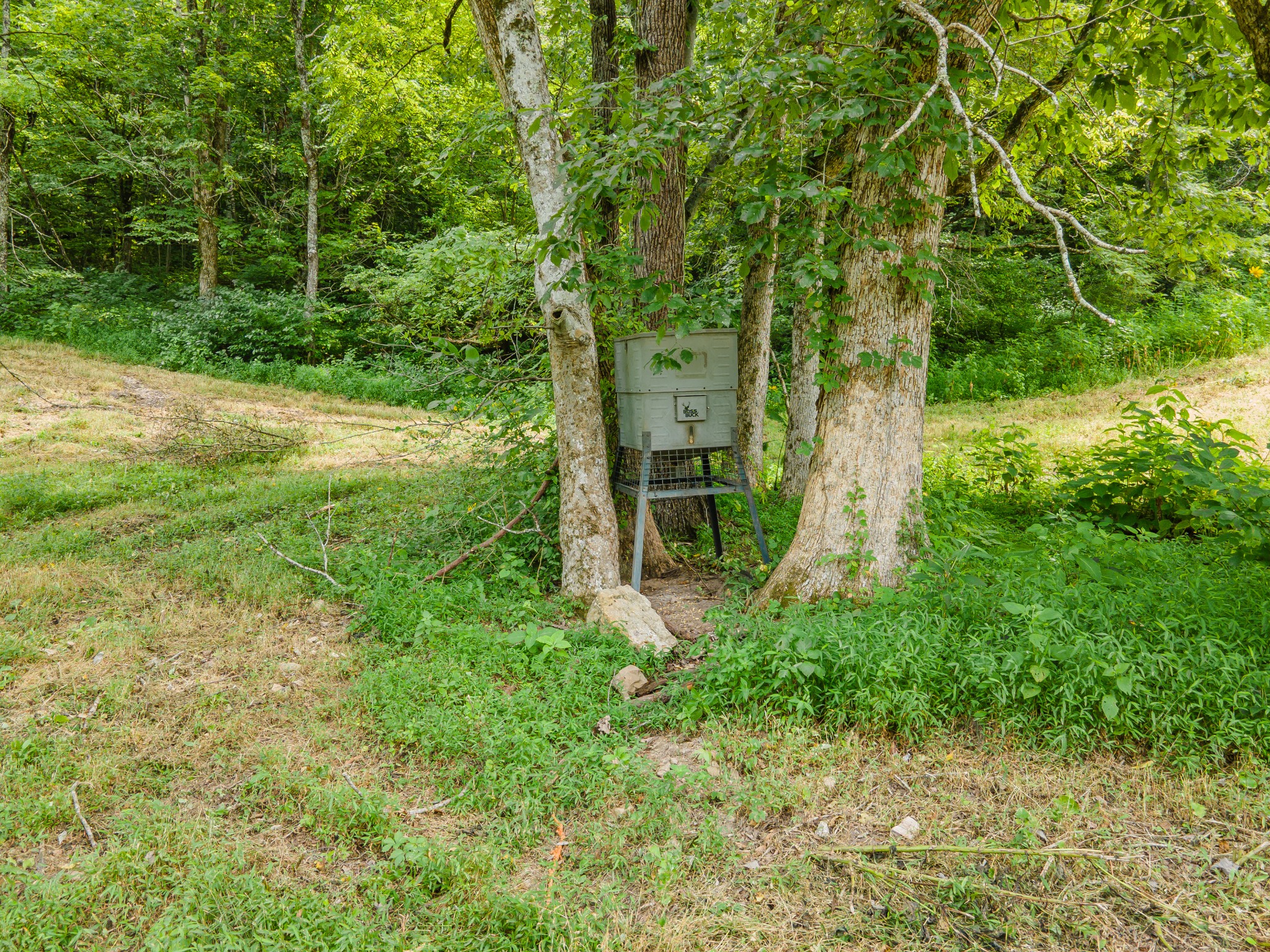 2970 Spring Place Rd Property Photo 25