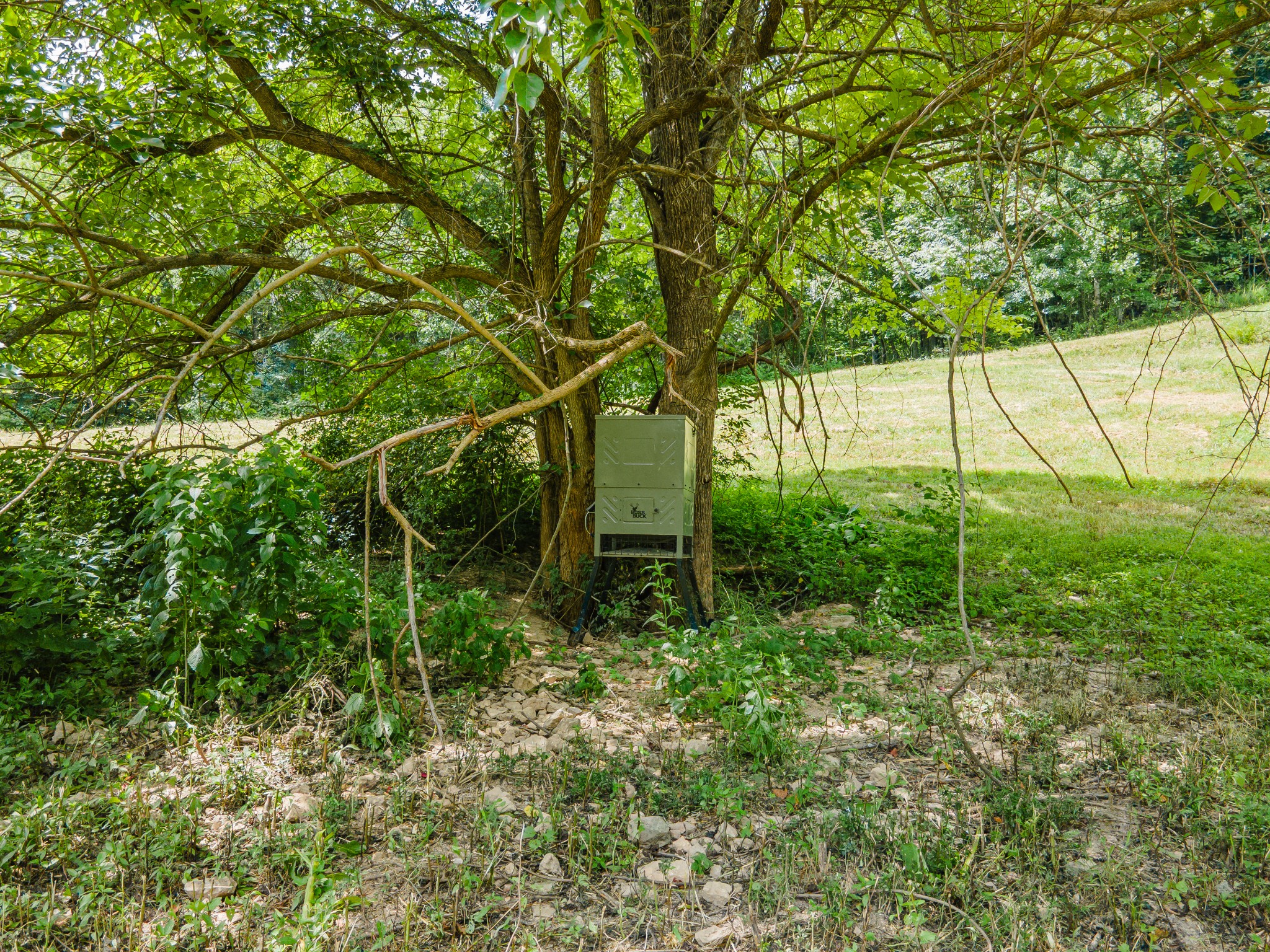 2970 Spring Place Rd Property Photo 26