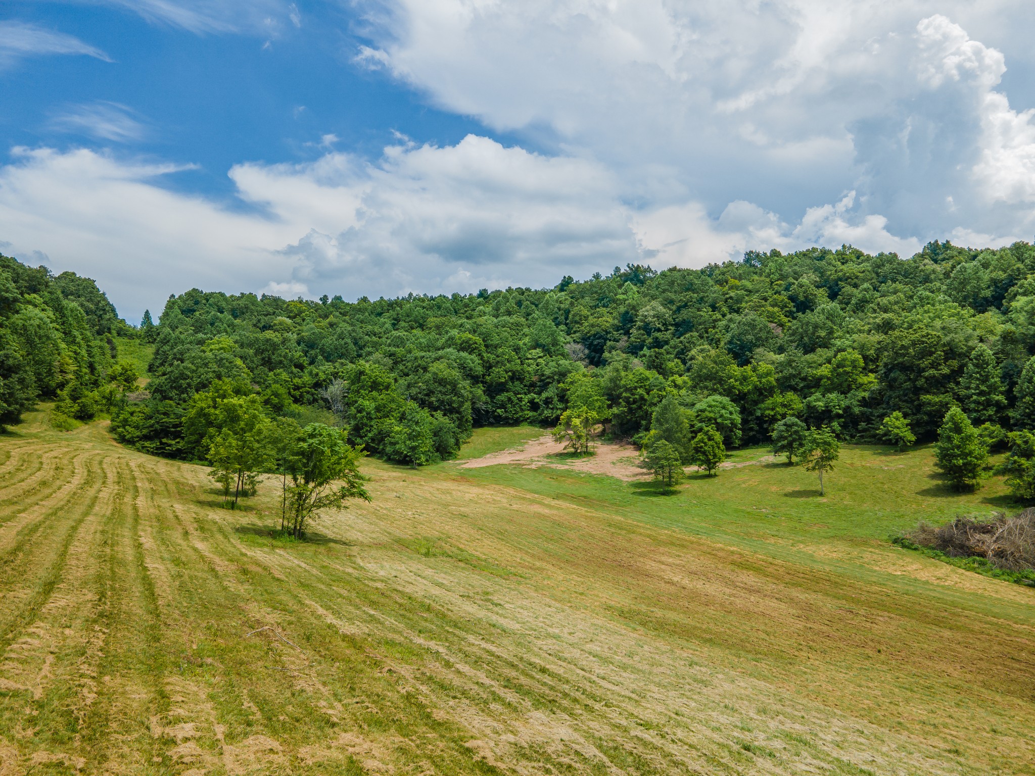 2970 Spring Place Rd Property Photo 27