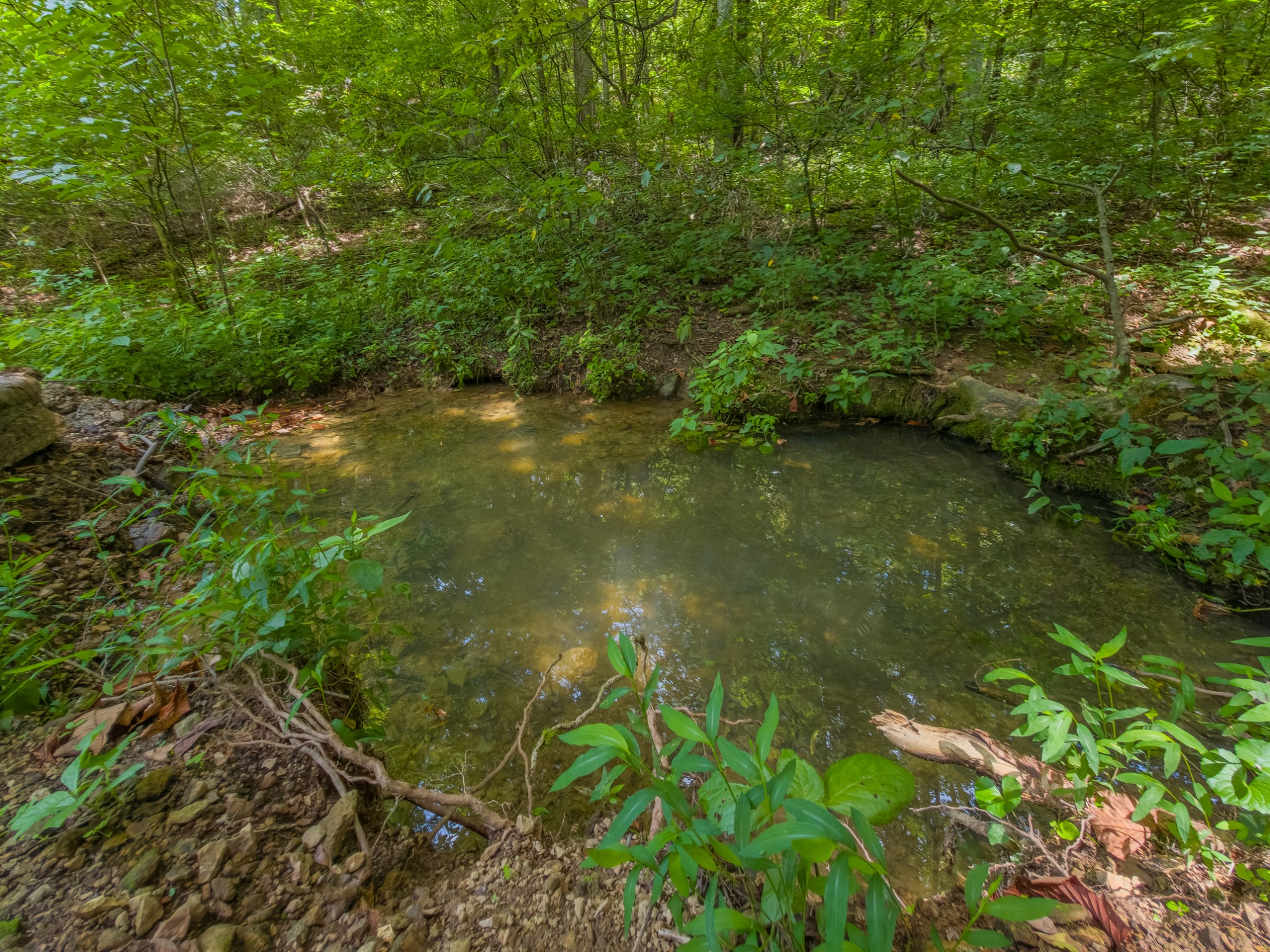 2970 Spring Place Rd Property Photo 28