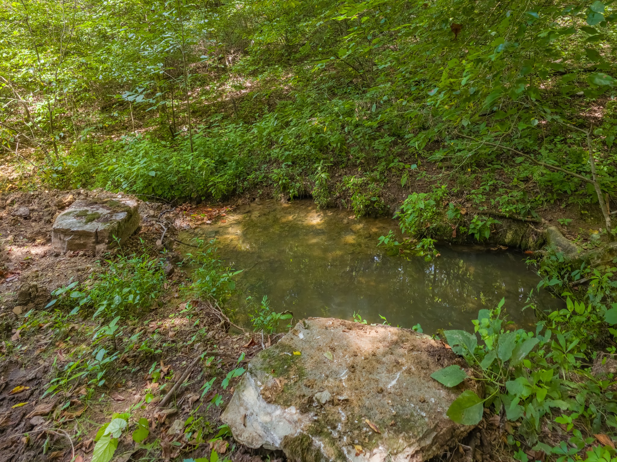 2970 Spring Place Rd Property Photo 29