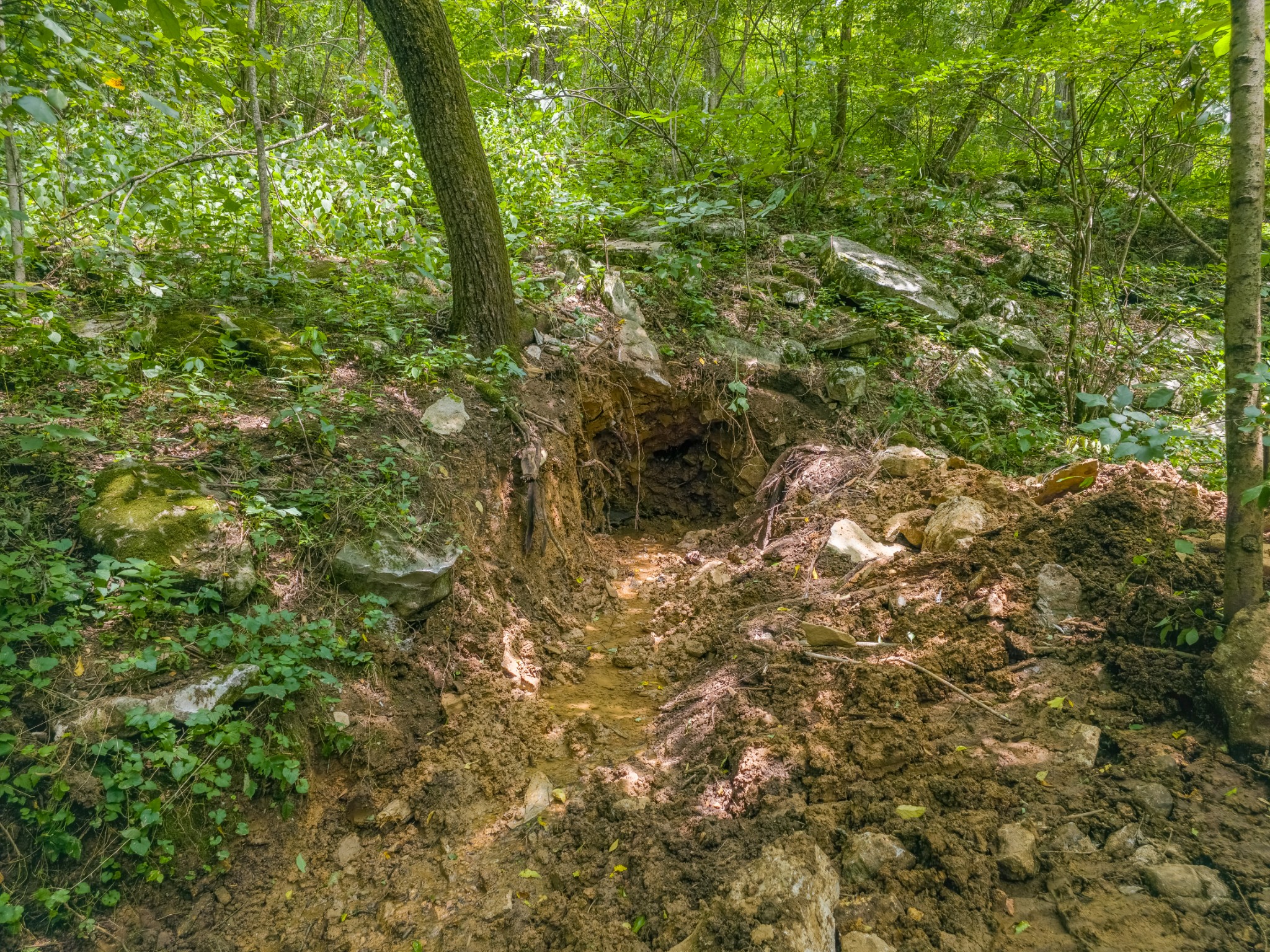 2970 Spring Place Rd Property Photo 31