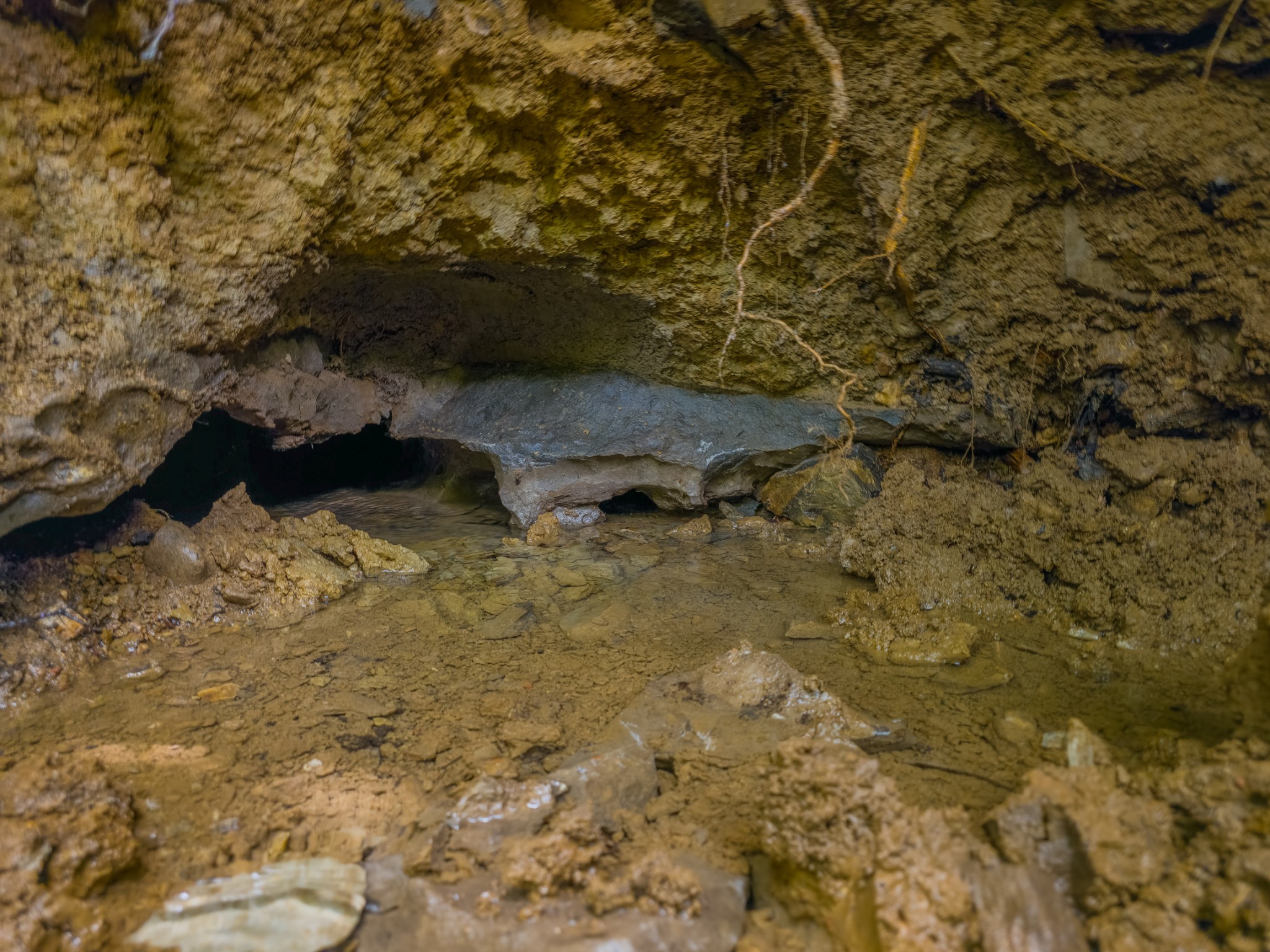 2970 Spring Place Rd Property Photo 32