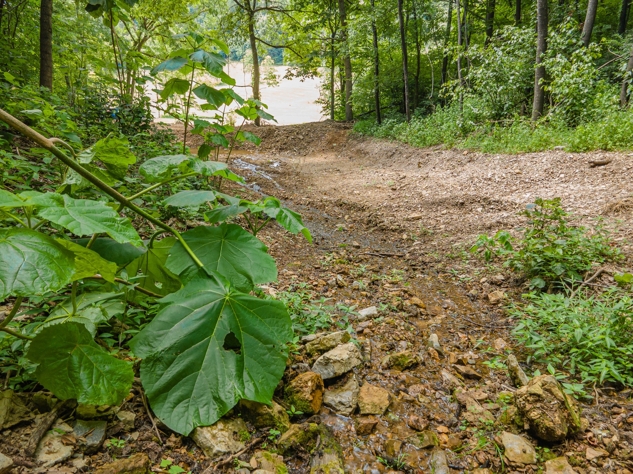 2970 Spring Place Rd Property Photo 34