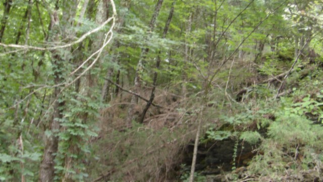 0 Old Hwy 53 S Property Photo 3