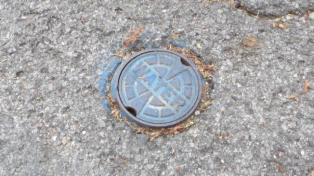 0 Old Hwy 53 S Property Photo 5