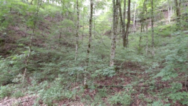 0 Old Hwy 53 S Property Photo 7