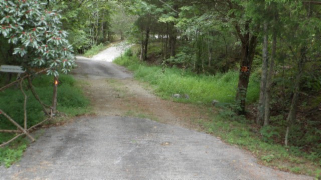 0 Old Hwy 53 S Property Photo 9