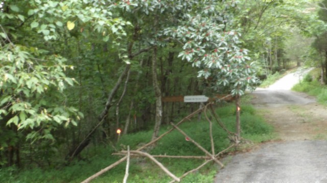 0 Old Hwy 53 S Property Photo 11