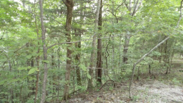 0 Old Hwy 53 S Property Photo 13