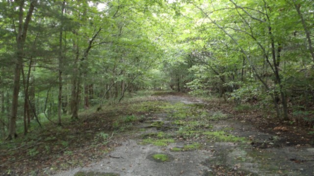 0 Old Hwy 53 S Property Photo 14