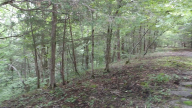 0 Old Hwy 53 S Property Photo 15