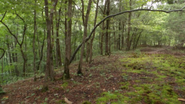 0 Old Hwy 53 S Property Photo 18