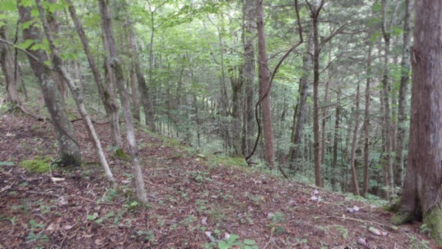 0 Old Hwy 53 S Property Photo 19