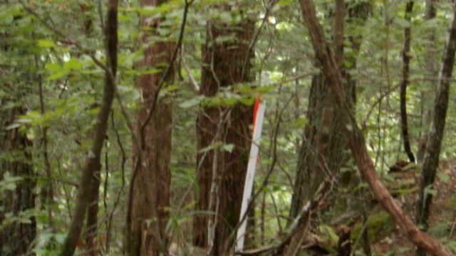 0 Old Hwy 53 S Property Photo 21