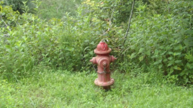 0 Old Hwy 53 S Property Photo 25