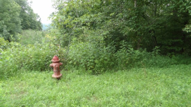 0 Old Hwy 53 S Property Photo 26