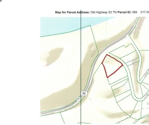 0 Old Hwy 53 S Property Photo 30