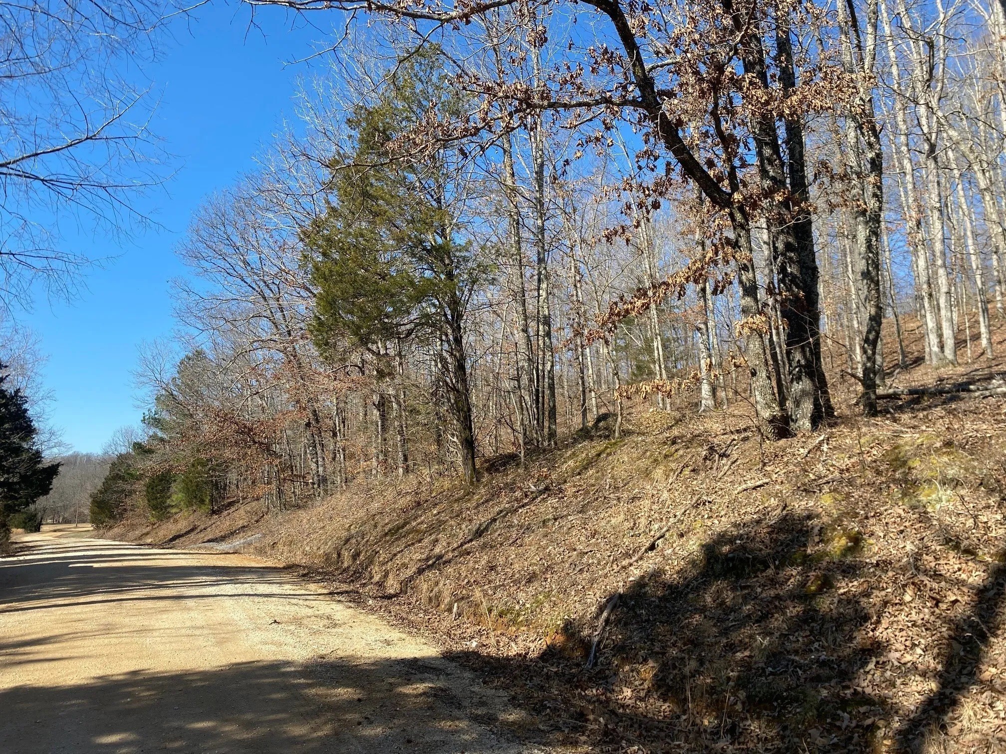 4200 Big Richland Creek Rd Property Photo