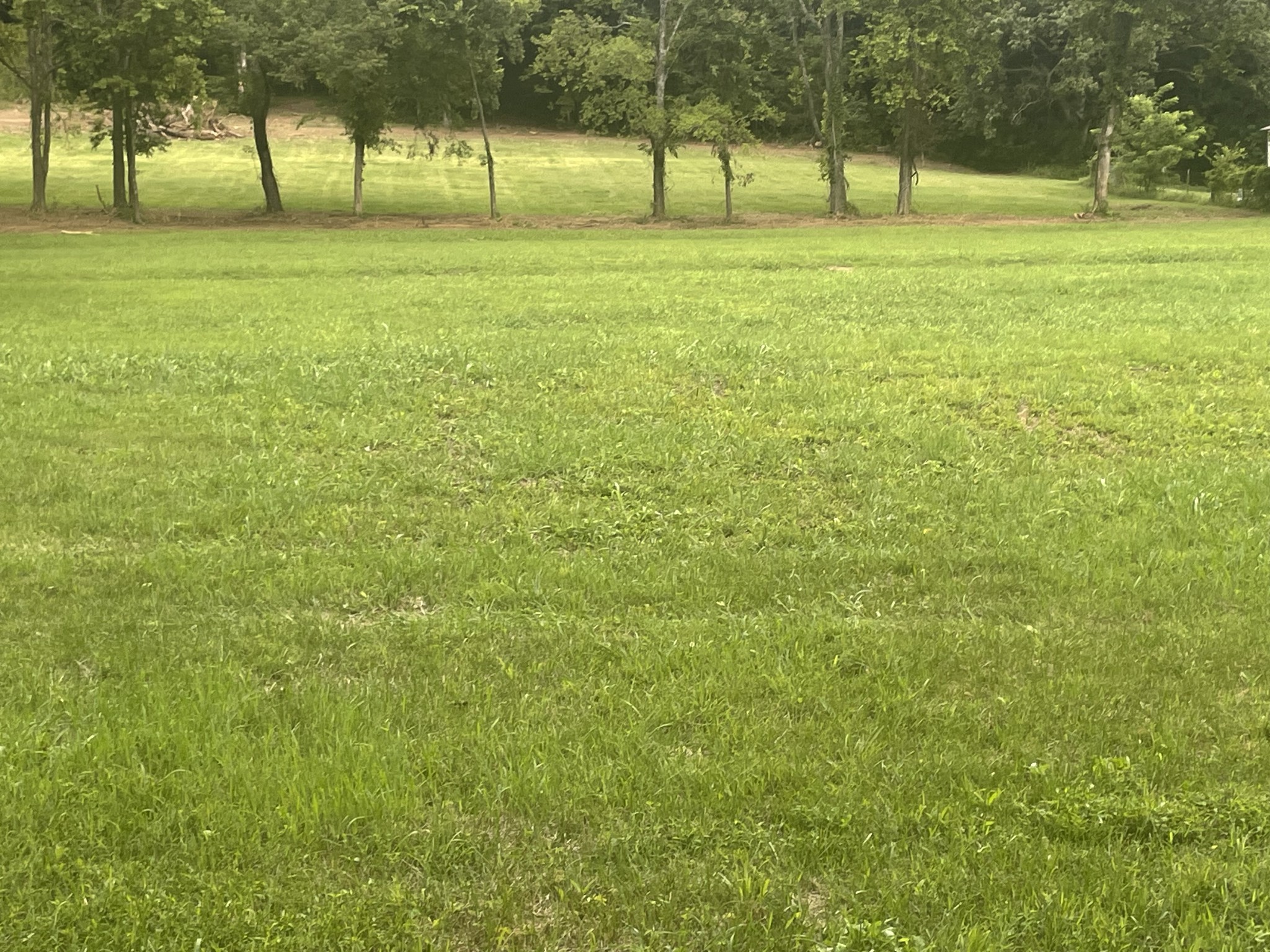6822 Arno Allisona Rd Property Photo 1